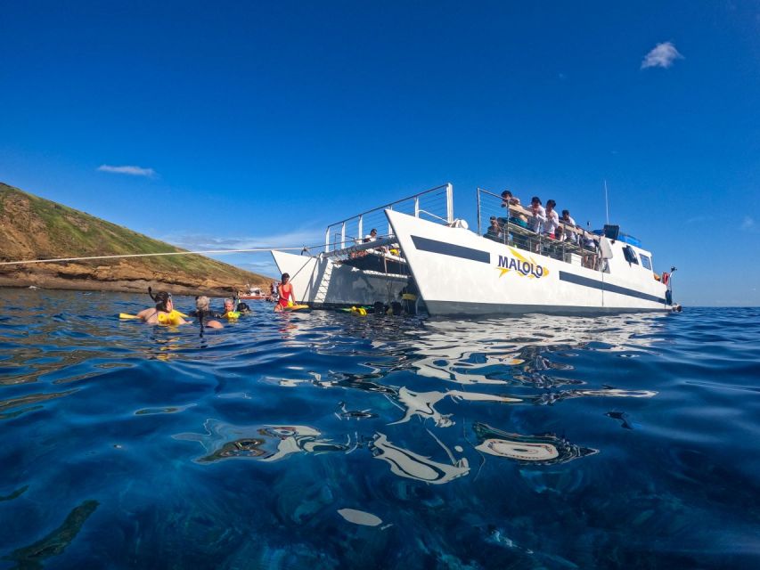 South Maui: Snorkel to Coral Gardens or Molokini Crater - Should you book the Malolo afternoon cruise?