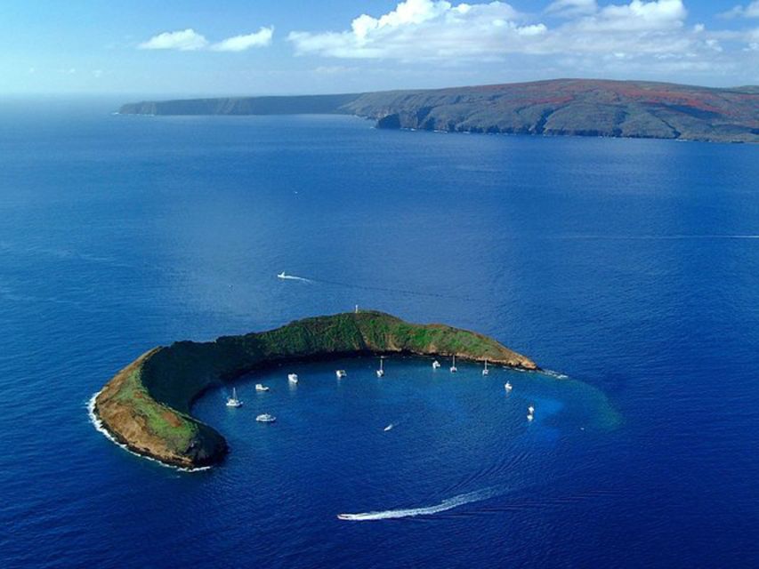 South Maui: Snorkel to Coral Gardens or Molokini Crater - Who will enjoy this snorkeling trip