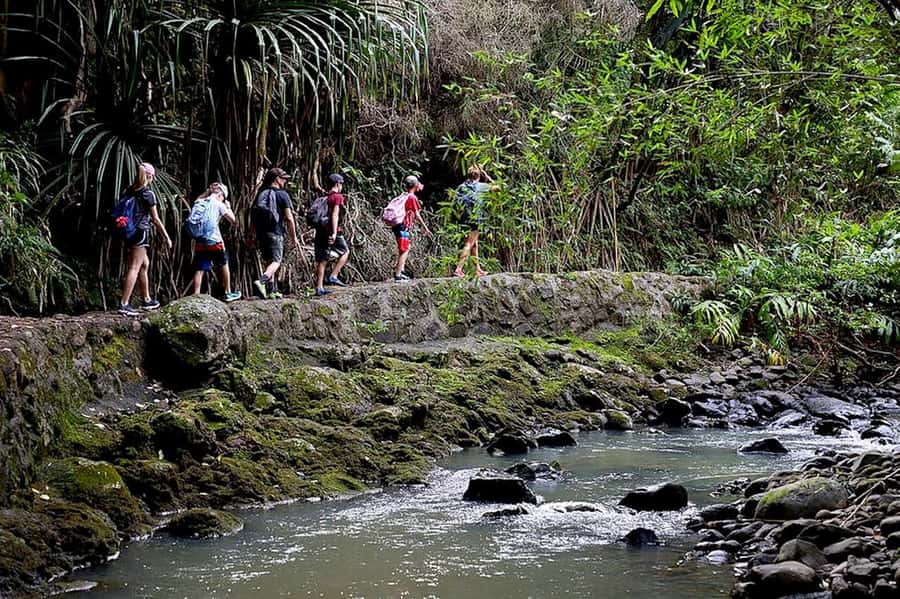 South Maui: Waterfall Tour w/ Kayak, Snorkel, and Hike - Guides who add more than directions