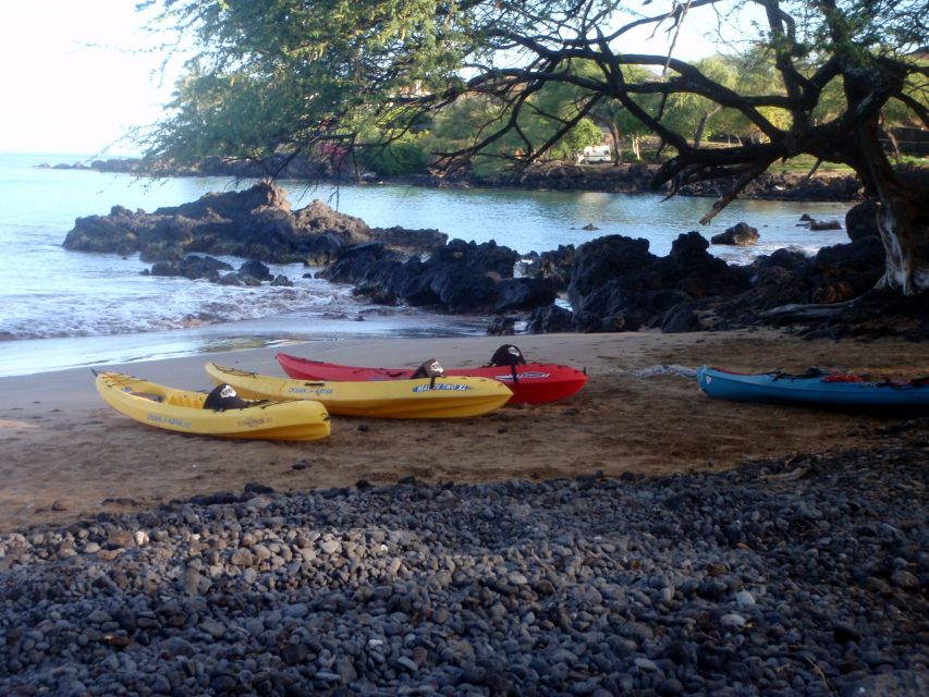 South Maui: Whale Watch Kayaking and Snorkel Tour in Kihei - FAQ