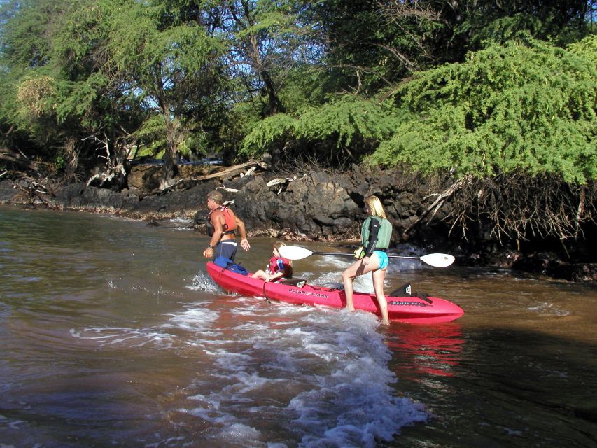 South Maui: Whale Watch Kayaking and Snorkel Tour in Kihei - How much paddling is involved?