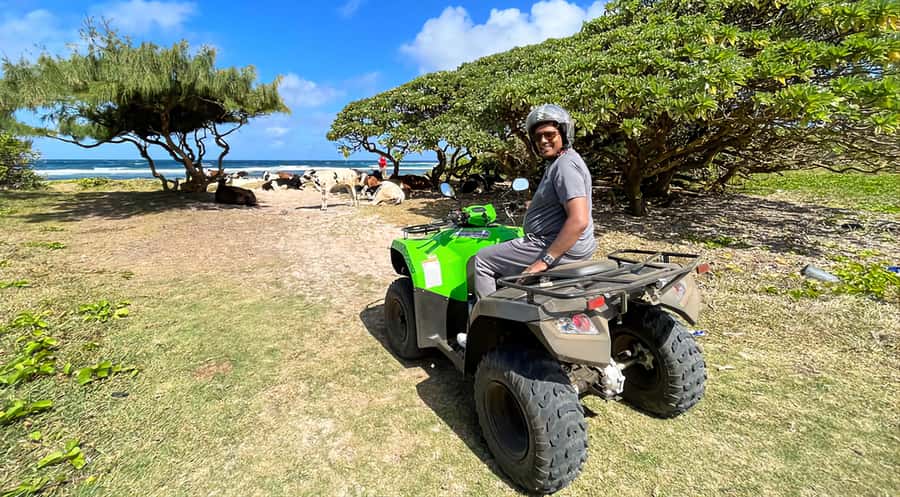 South Of Mauritius Quadbike and Snorkeling Blue Bay - Royal Palm Forest and the Beaches