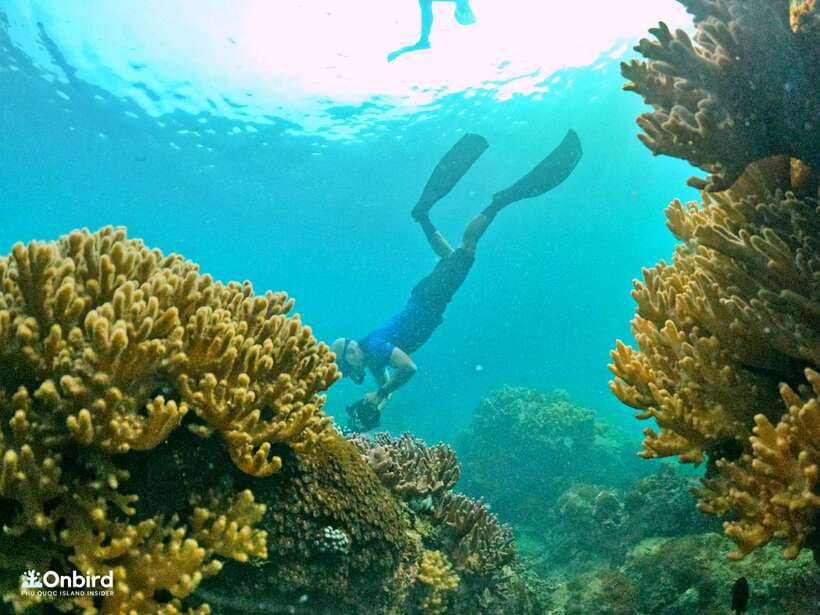 South Phu Quoc: Pro Snorkeling Tour by Speedboat - Key points to know before booking
