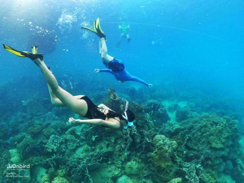 South Phu Quoc: Pro Snorkeling Tour by Speedboat - The shallow-water lesson is more useful than it sounds