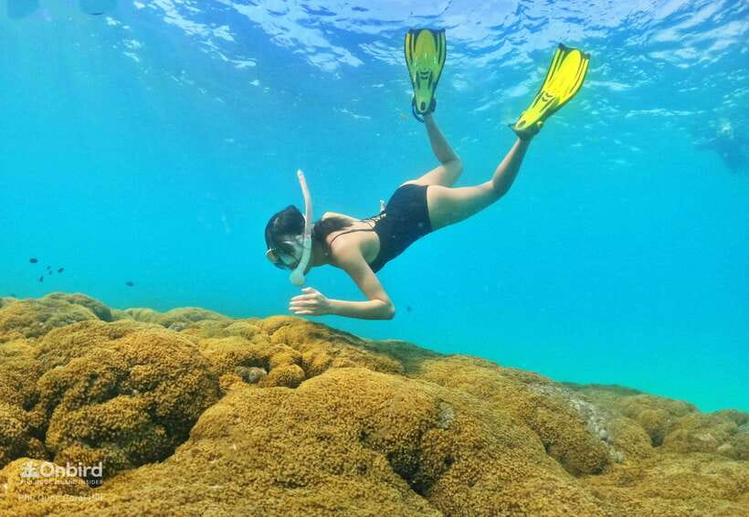 South Phu Quoc: Pro Snorkeling Tour by Speedboat - The guides make the biggest difference