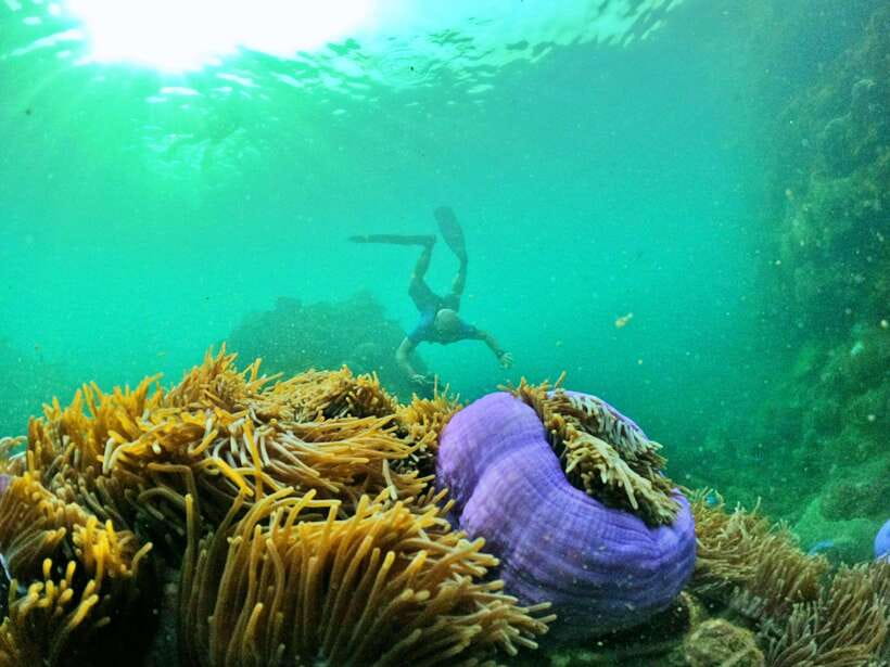 South Phu Quoc: Pro Snorkeling Tour by Speedboat - Reef protection is part of the tour, not a slogan