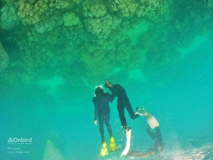 South Phu Quoc: Pro Snorkeling Tour by Speedboat - The island stop gives the day a slower finish