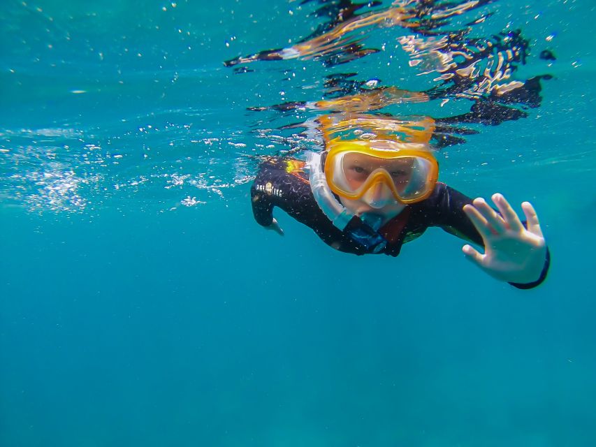 South Tenerife: Guided Snorkeling - The briefing makes the first few minutes easier