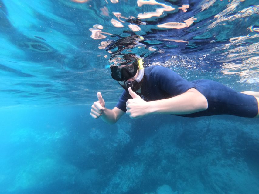 South Tenerife: Guided Snorkeling - What the 50-minute swim is really like