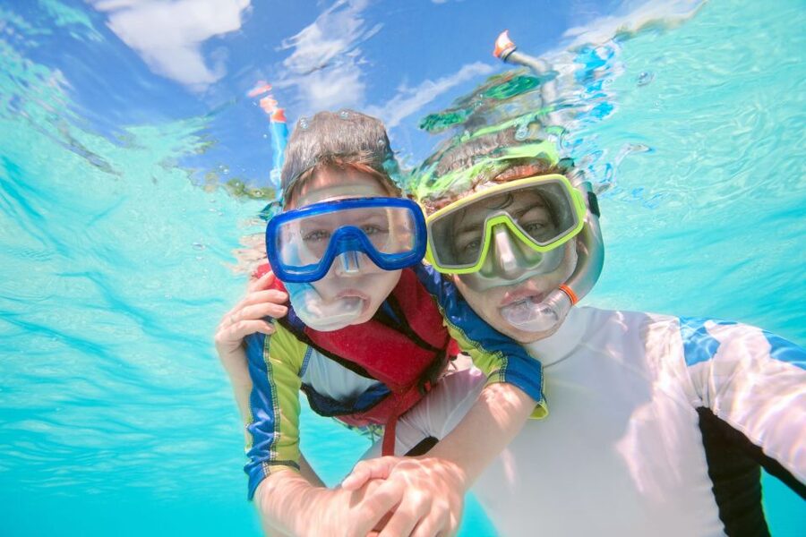 South Tenerife: Guided Snorkeling - How the price compares with the experience