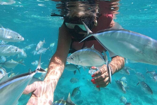 Speed Boat and Snorkeling in Punta Cana Bavaro - Driving the boat under supervision