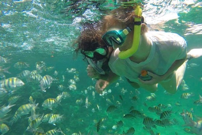 Speed Boat and Snorkeling in Punta Cana Bavaro - Snorkeling at the reef