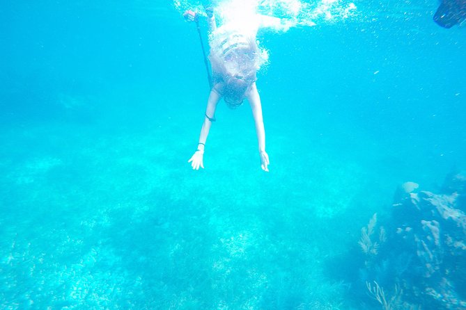 Speed Boat & Snorkel Tour with transportation ( only Cancun zone area) - Cancun Hotel Zone pickup and timing