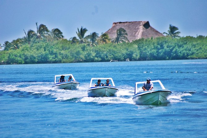 Speed Boat & Snorkel Tour with transportation ( only Cancun zone area) - Angel Reef and the 35-minute snorkeling stop