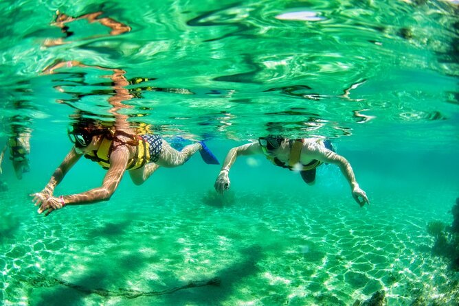 Speedboat across the Mangroves & Snorkel with Jet Ski Rental - Guides, safety, and comfort in the water