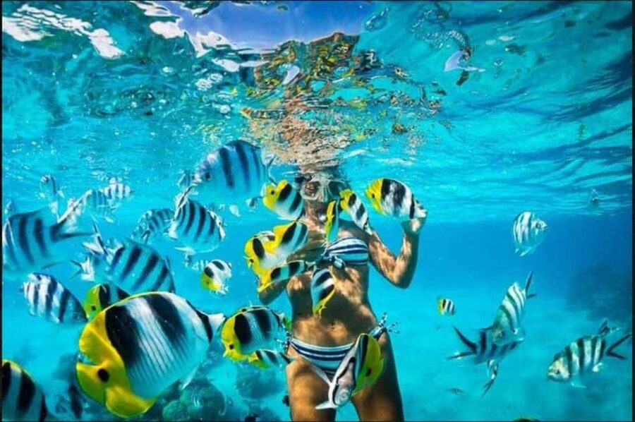 Speedboat Adventure and Snorkeling from Punta Cana - Who will enjoy this most