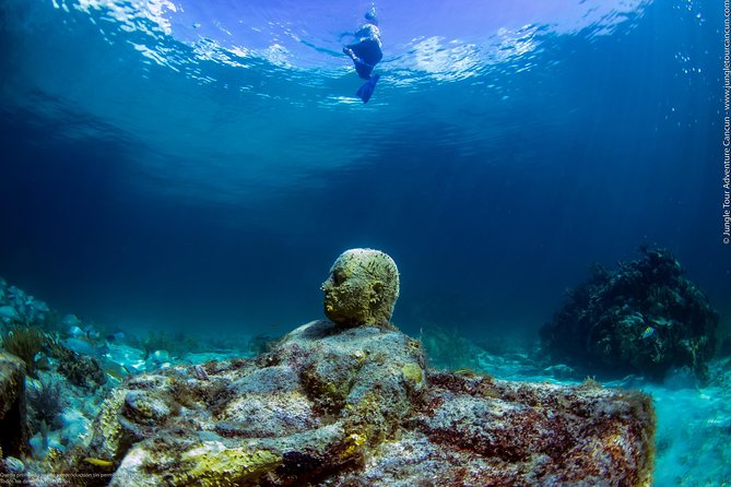Speedboat and snorkel tour: Single Passenger Boat - Coral reefs and the Cancun Underwater Museum