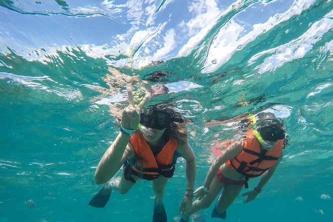 Speedboat jungle tour and snorkel - FAQ