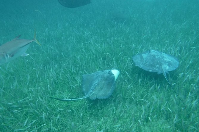 St John & Surrounding Cays - Full-Day Sail/Snorkel, 6 Guests Max - The open bar and the pace of the afternoon