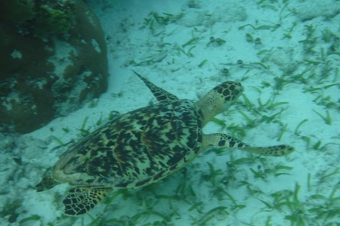 St John & Surrounding Cays - Full-Day Sail/Snorkel, 6 Guests Max - The captains make more difference than the boat