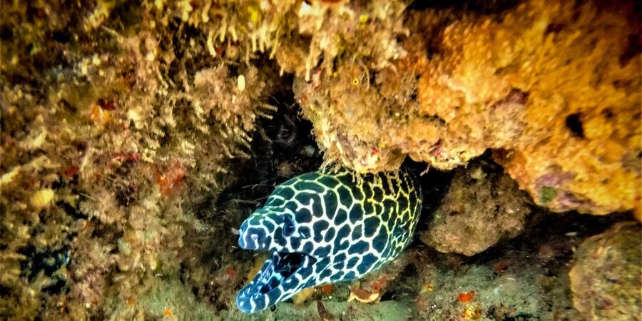 St. Lucia: Cape Vidal Snorkeling Adventure - The drive from St. Lucia to Cape Vidal