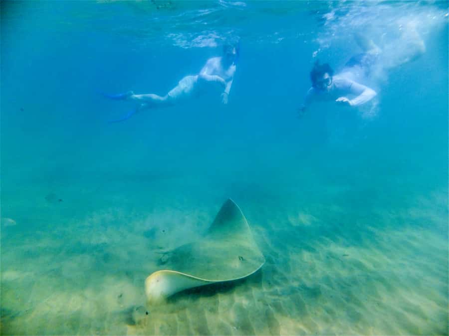 St. Lucia: Cape Vidal Snorkeling Adventure - Who will enjoy this experience most