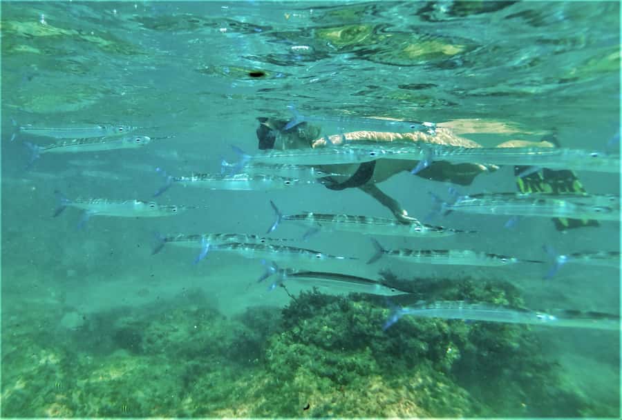 St. Lucia: Cape Vidal Snorkeling Adventure - A beach briefing before you enter the water