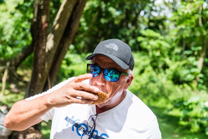 St Lucia Full-Day Catamaran Sightseeing Cruise With Snorkeling - Morne Coubaril and a proper Creole lunch