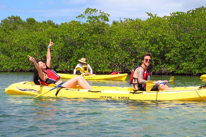 St Thomas Mangrove Lagoon Kayak and Snorkel Tour in the US Virgin Islands - Paddling into St. Thomas’ Mangrove Lagoon