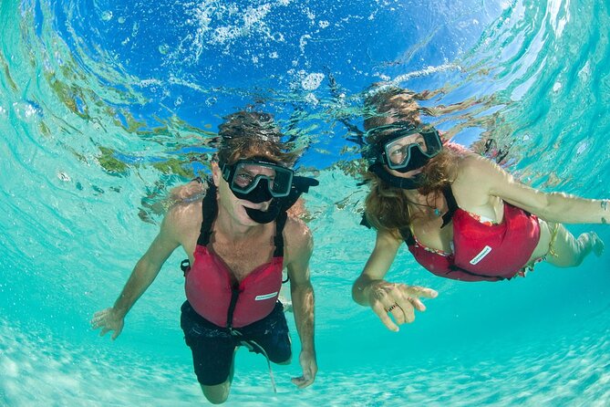 St Thomas Mangrove Lagoon Kayak and Snorkel Tour in the US Virgin Islands - Cas Cay, the island stop, and the optional walk