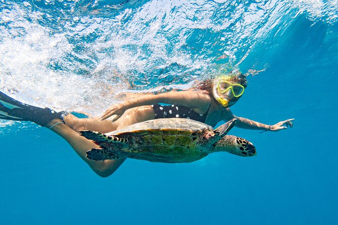 St Thomas Mangrove Lagoon Kayak and Snorkel Tour in the US Virgin Islands - How the two-and-a-half-hour schedule feels