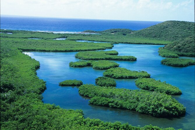 St Thomas Mangrove Lagoon Kayak and Snorkel Tour in the US Virgin Islands - Guides make the difference