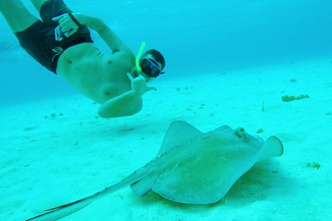 Starfish, Stingrays and the Turtle Sanctuary Snorkel Tour - El Cielito and the close stingray encounter