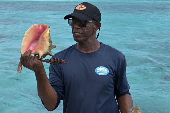 Stingray City and Snorkel Tour With Lunch - Pickup, check-in, and the morning schedule