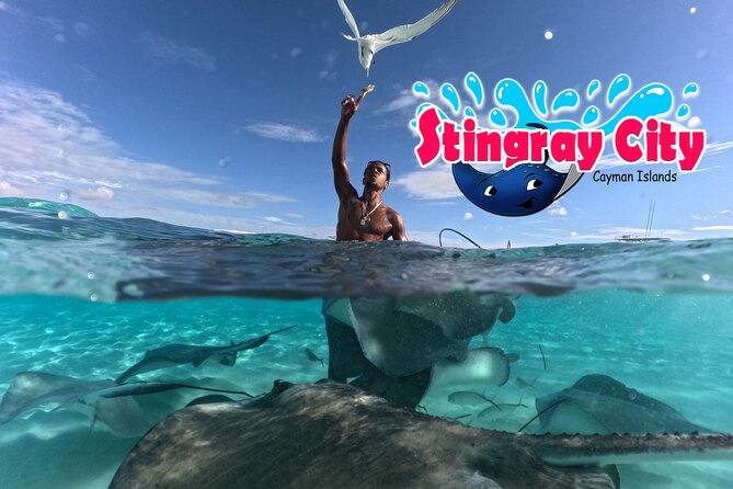 Stingray City and Starfish Experience with Coral Reef Snorkeling - Starfish Point keeps the final stop gentle