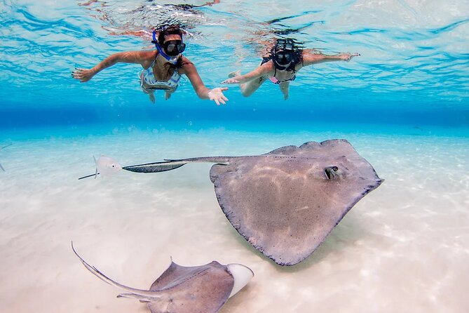 Stingray City and Starfish Experience with Coral Reef Snorkeling - What the $65 price really covers