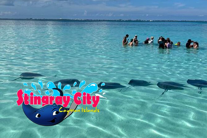 Stingray City and Starfish Experience with Coral Reef Snorkeling - Families, cruise passengers, and first-time snorkelers