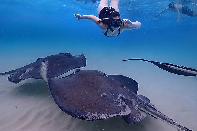 Stingray City and Starfish Experience with Coral Reef Snorkeling - Photo tips and what to bring