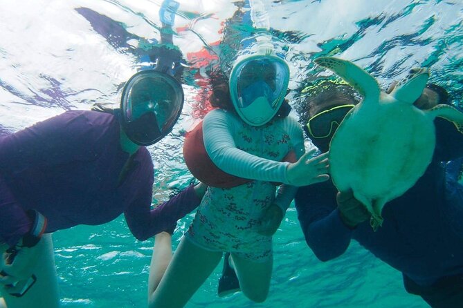 Stingray City Experience Plus One Snorkeling Stop - Coral Gardens or the Barrier Reef