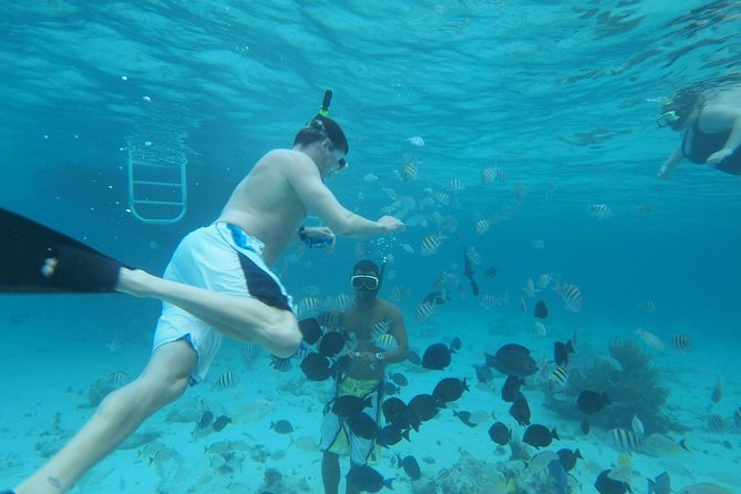 Stingray City Experience Plus Two Snorkeling Stops on Grand Cayman - The three-hour schedule and what it feels like