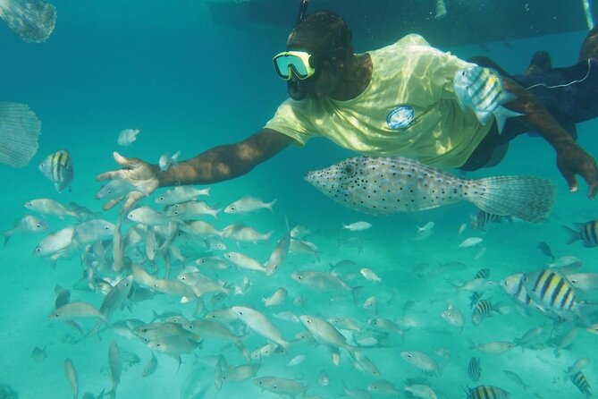 Stingray City Experience Plus Two Snorkeling Stops on Grand Cayman - Cruise ship timing needs careful planning