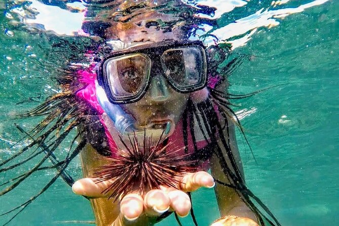 Sun, Sea & Streets: Beach Day + Snorkel Adventure & City Tour - Lunch and the value of included transport