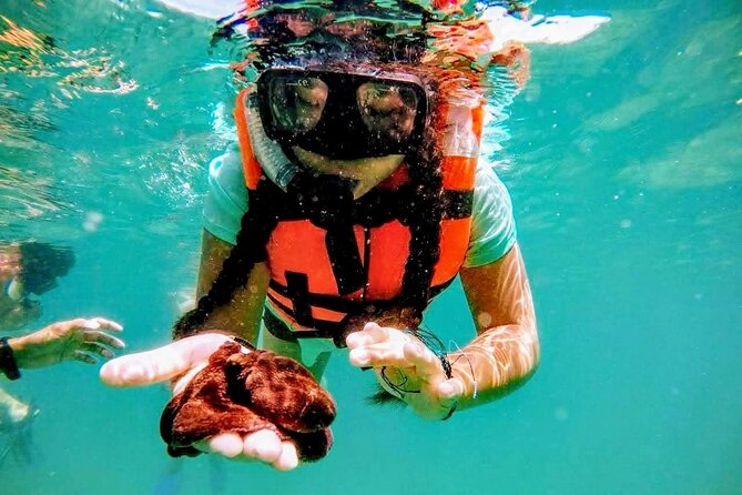 Sun, Sea & Streets: Beach Day + Snorkel Adventure & City Tour - Family groups and different swimming abilities