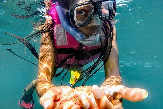Sun, Sea & Streets: Beach Day + Snorkel Adventure & City Tour - What the city portion really includes