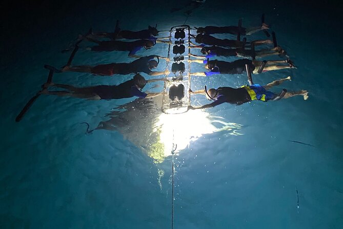 Sunset and Manta Ray Snorkel Adventure - The water conditions and physical demands