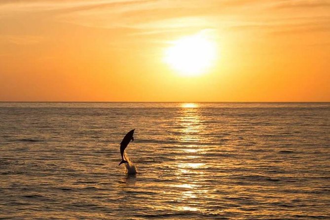 Sunset Beach Hopping Cruise, Cala Comte and Cala Bassa, SUP and snorkelling - Food, drinks, and what the $78.64 price buys