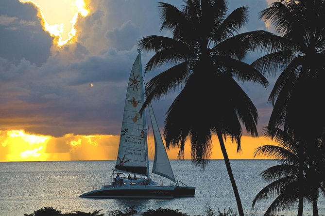 Sunset Catamaran and Snorkeling Cruise At Carlisle Bay - Key points to know before booking