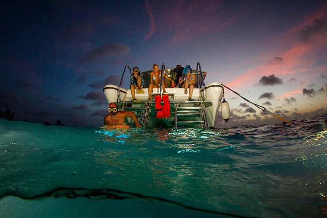Sunset- night snorkel trip - Key points at a glance