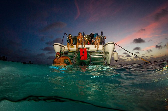 Sunset- night snorkel trip - When daylight fades over the reef