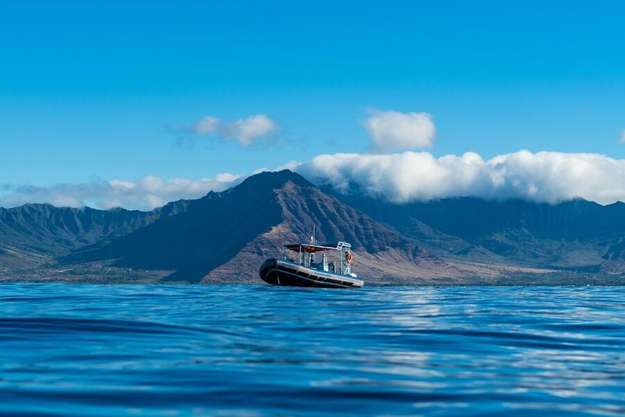 Swim with Wild Dolphins Oahu Speedboat Snorkeling Adventure! - Lunch, snacks, and drinks on the boat